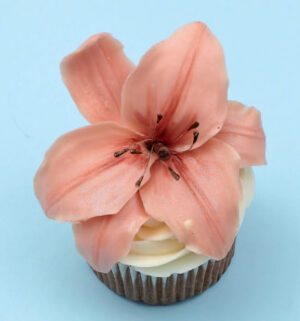 75 Flowers for Cake Decorators: A Beautiful Collection of Easy-to-Make Floral Cake and Cupcake Toppers - Image 4